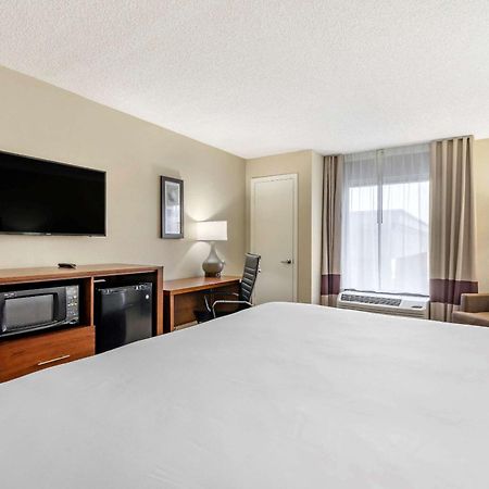Comfort Inn & Suites St Pete - Clearwater International Airport Kültér fotó