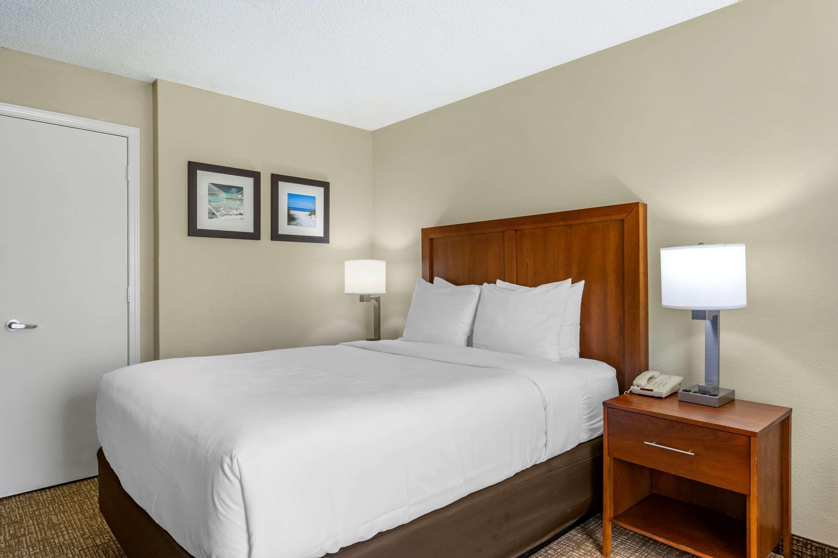 Comfort Inn & Suites St Pete - Clearwater International Airport Kültér fotó