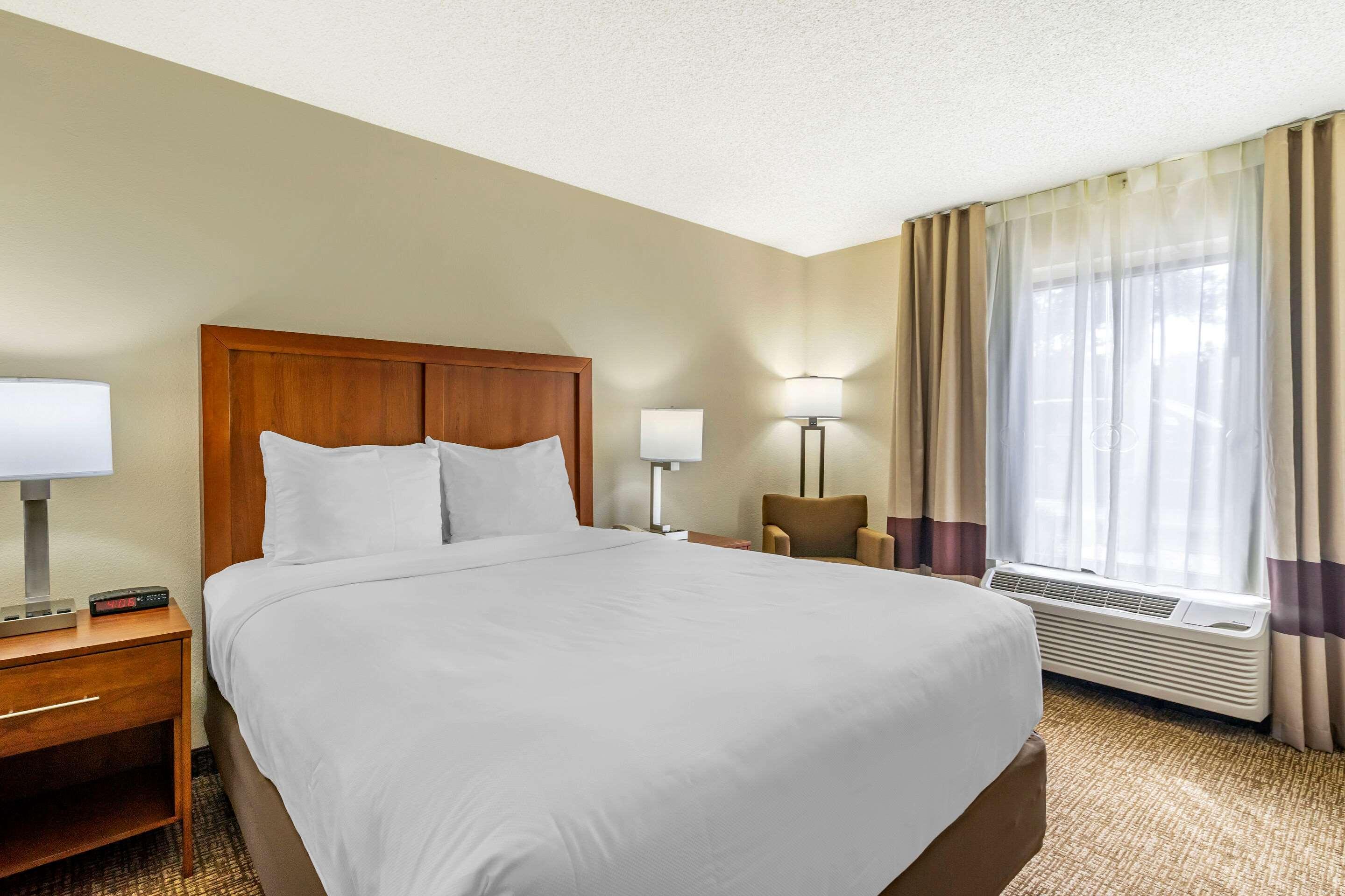 Comfort Inn & Suites St Pete - Clearwater International Airport Kültér fotó