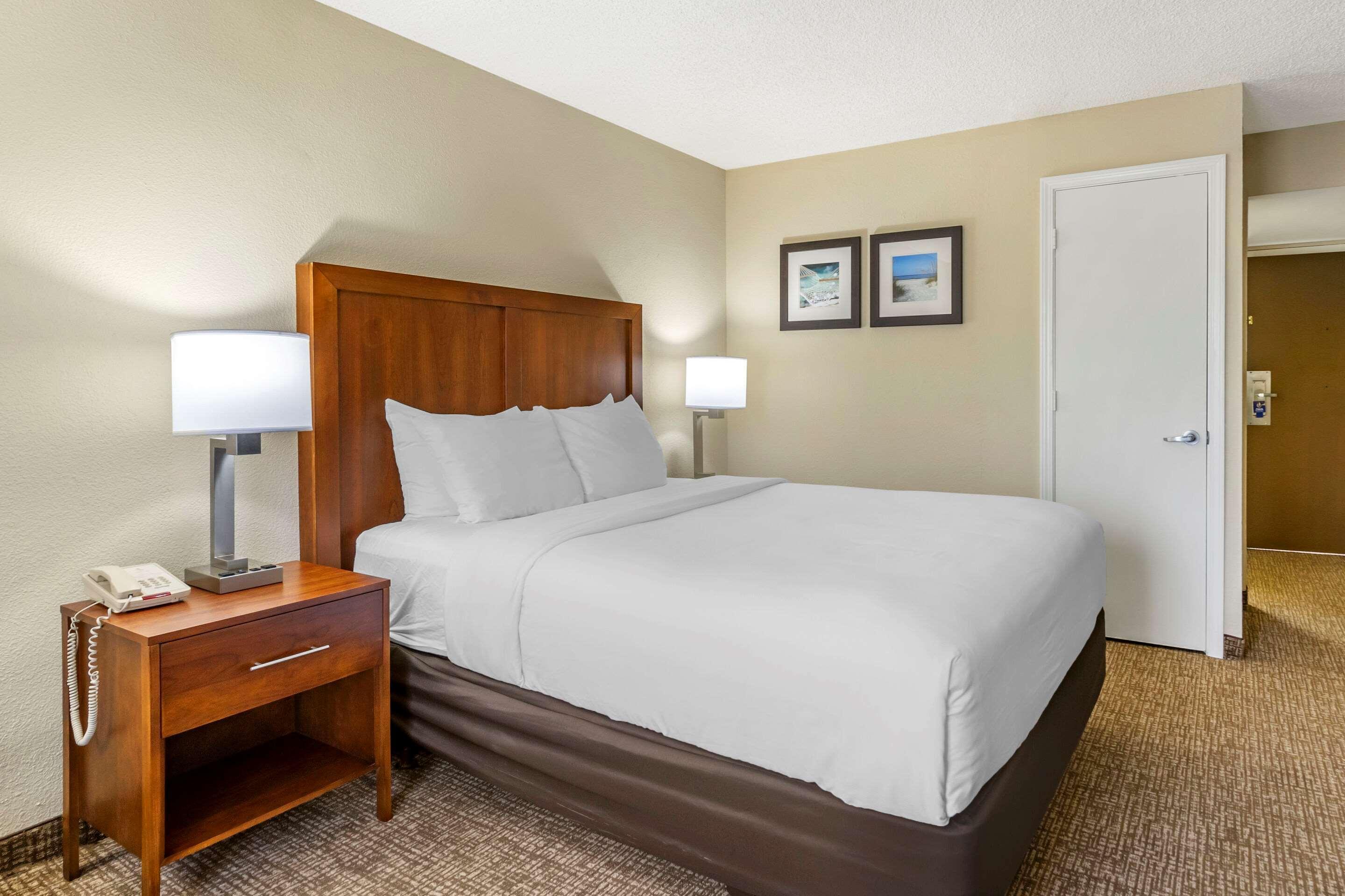 Comfort Inn & Suites St Pete - Clearwater International Airport Kültér fotó