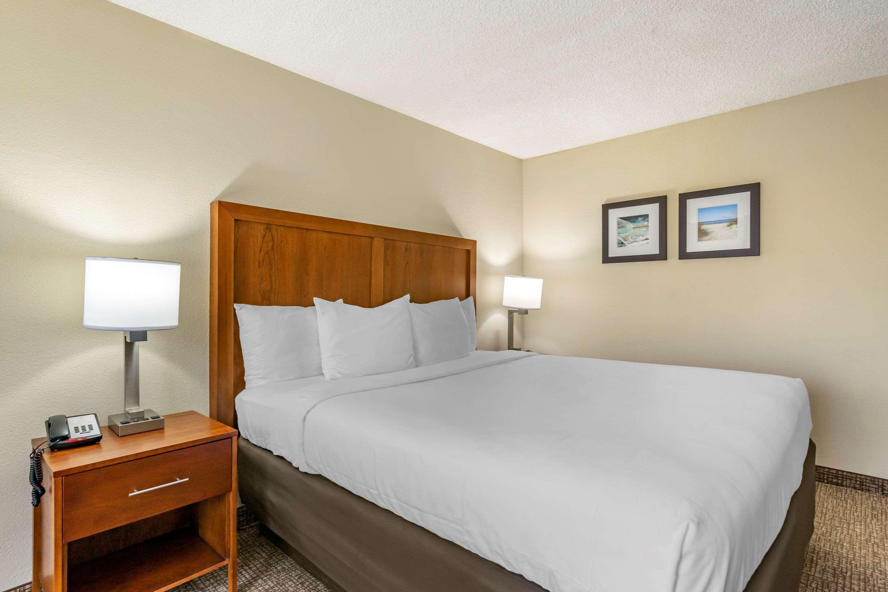 Comfort Inn & Suites St Pete - Clearwater International Airport Kültér fotó