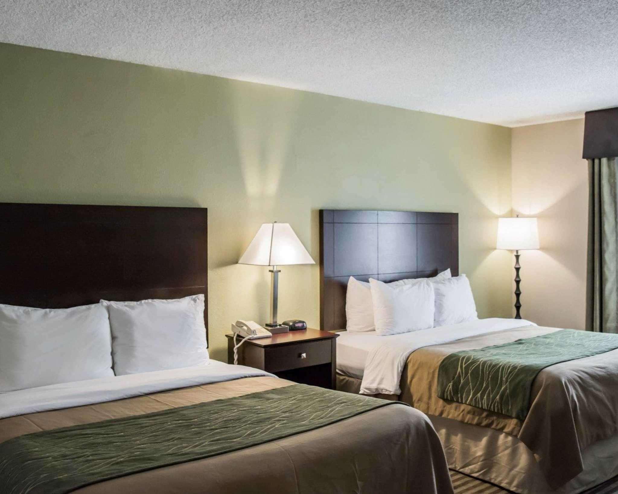 Comfort Inn & Suites St Pete - Clearwater International Airport Kültér fotó