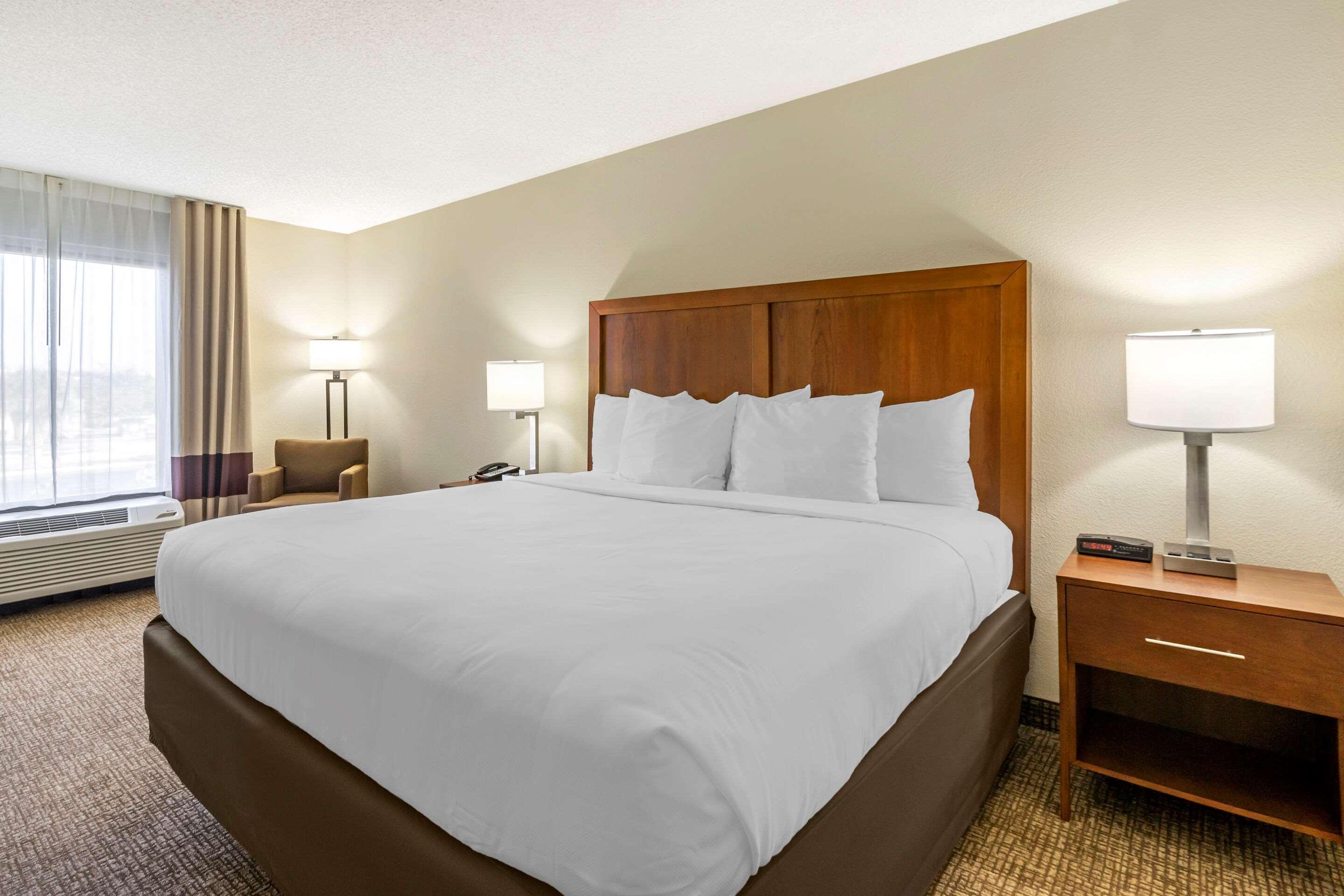 Comfort Inn & Suites St Pete - Clearwater International Airport Kültér fotó