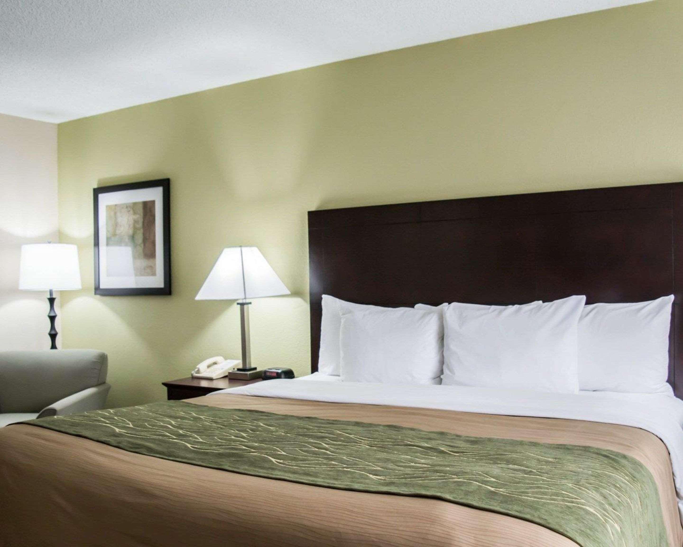 Comfort Inn & Suites St Pete - Clearwater International Airport Kültér fotó