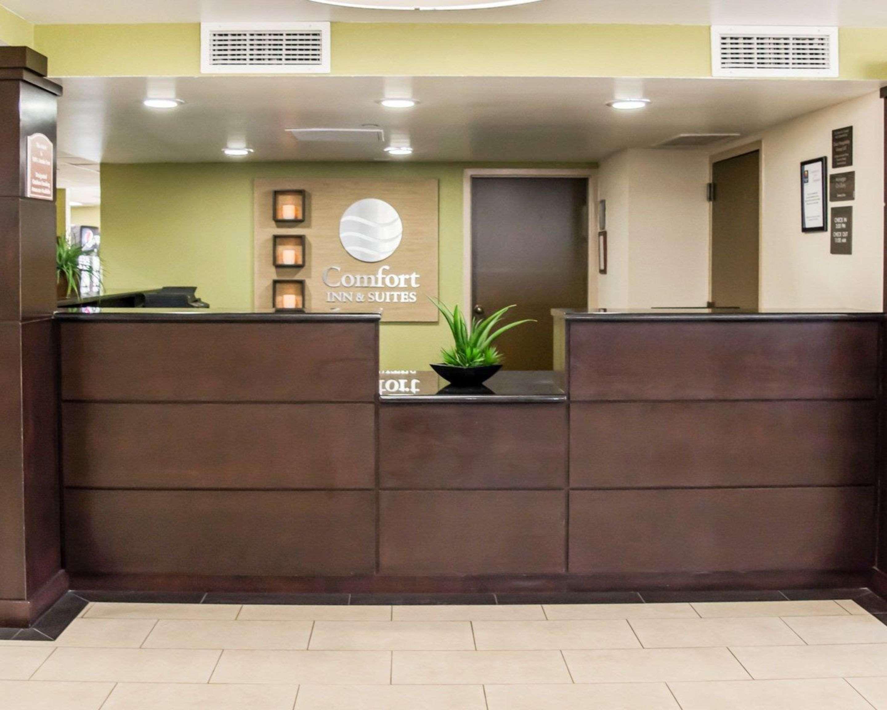 Comfort Inn & Suites St Pete - Clearwater International Airport Kültér fotó