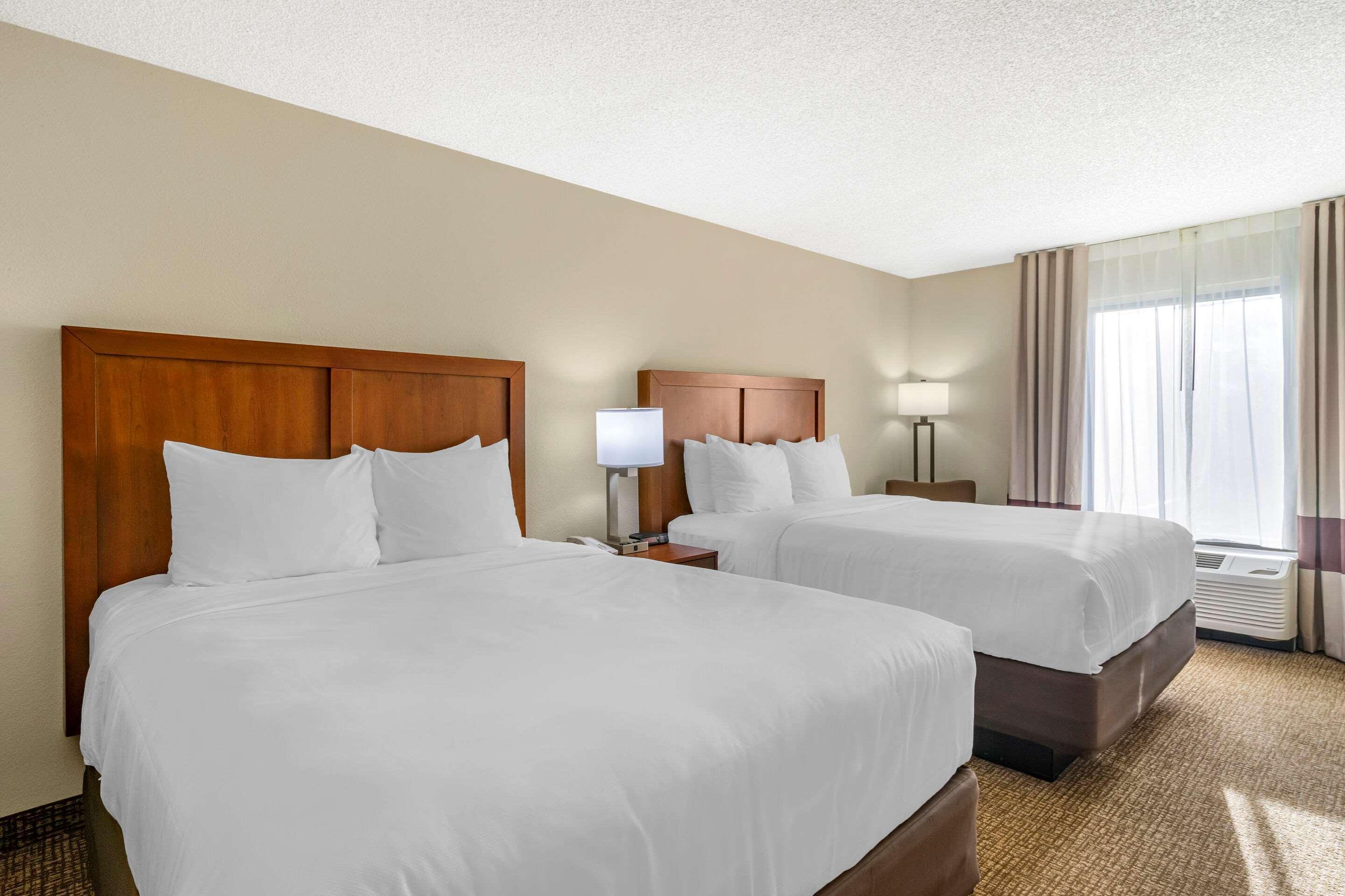 Comfort Inn & Suites St Pete - Clearwater International Airport Kültér fotó