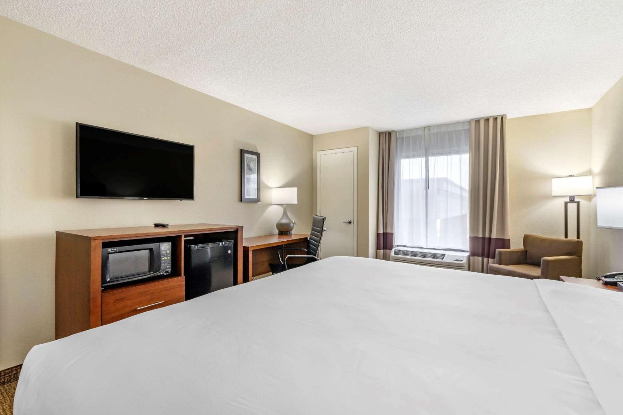 Comfort Inn & Suites St Pete - Clearwater International Airport Kültér fotó