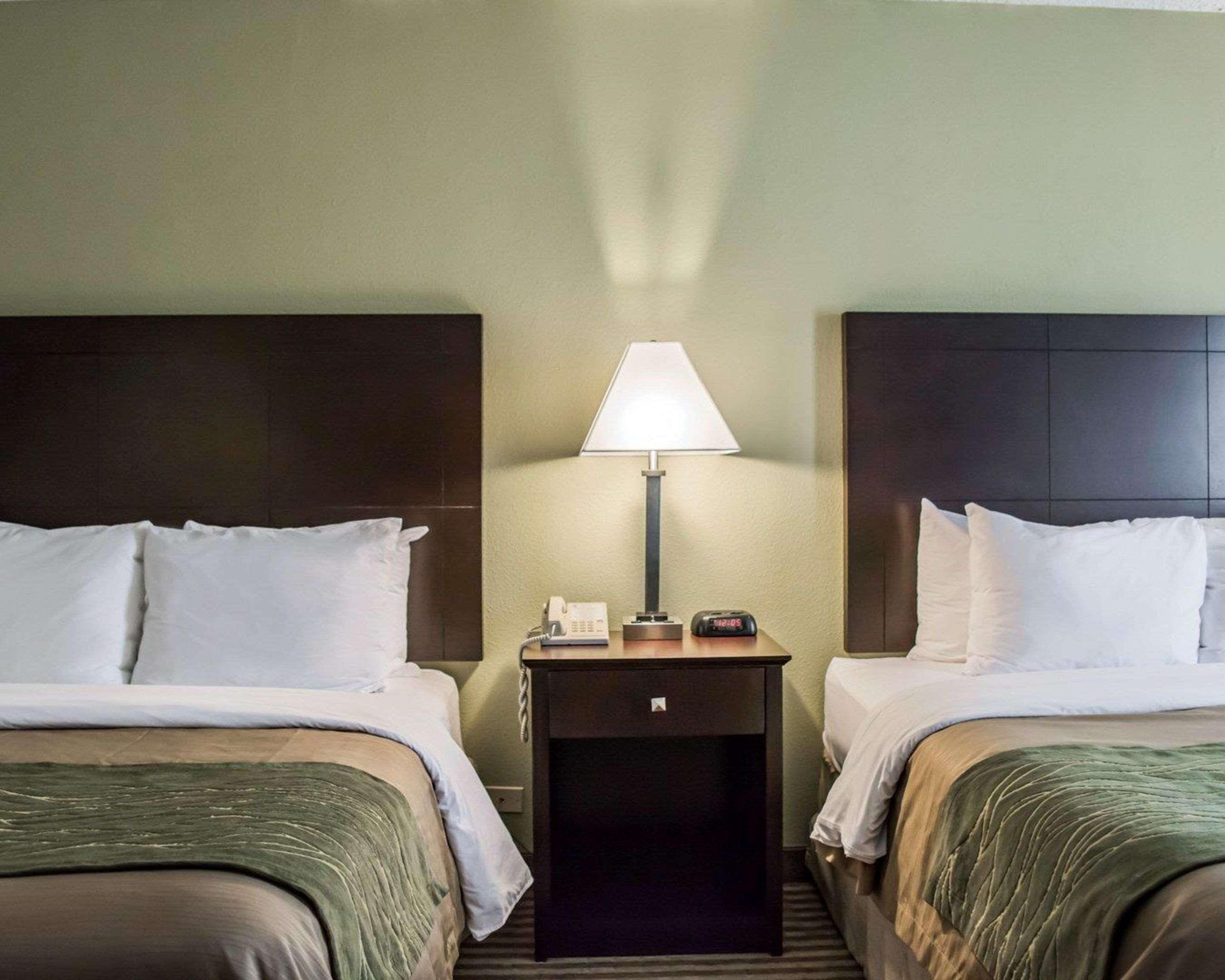 Comfort Inn & Suites St Pete - Clearwater International Airport Kültér fotó