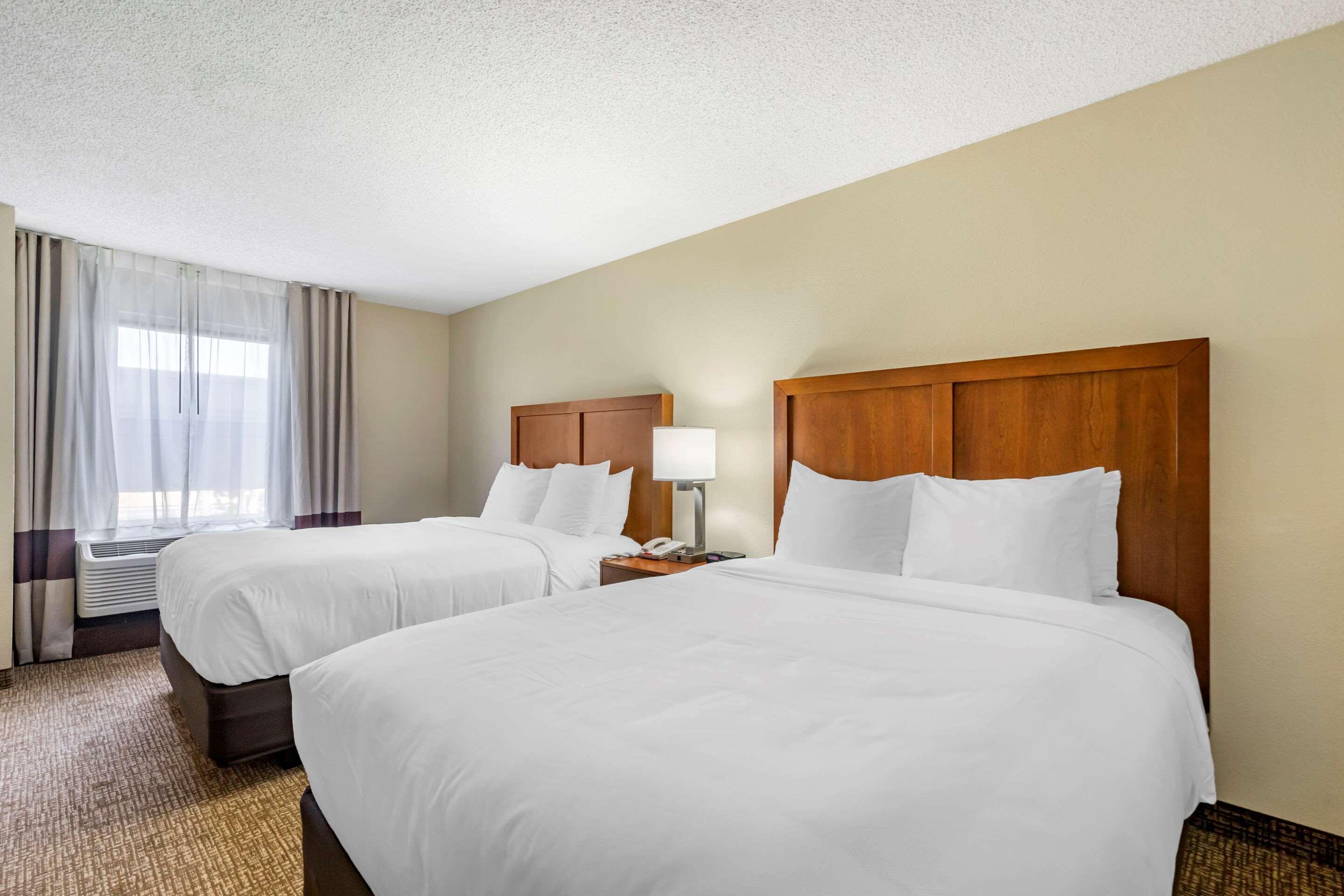 Comfort Inn & Suites St Pete - Clearwater International Airport Kültér fotó