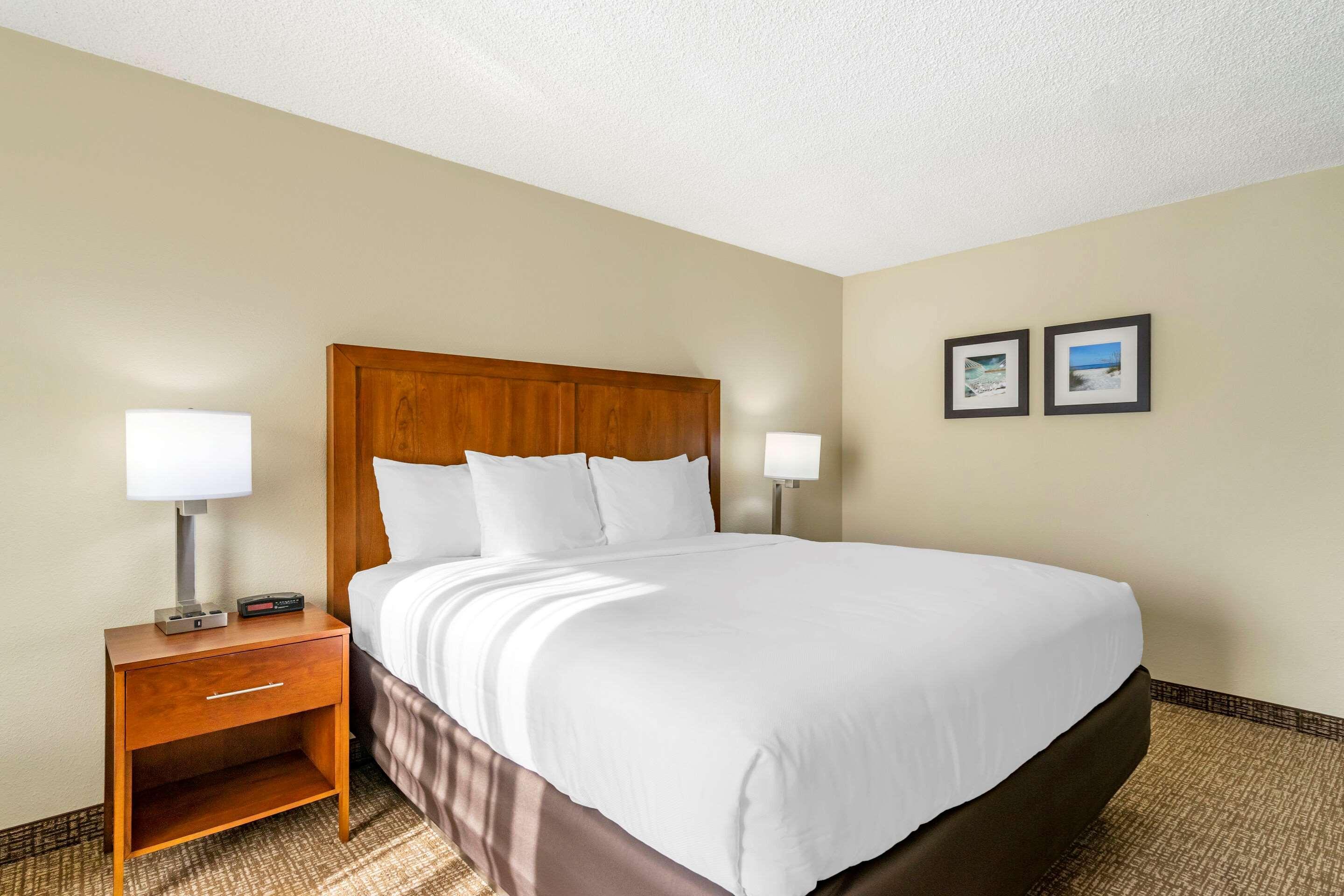 Comfort Inn & Suites St Pete - Clearwater International Airport Kültér fotó