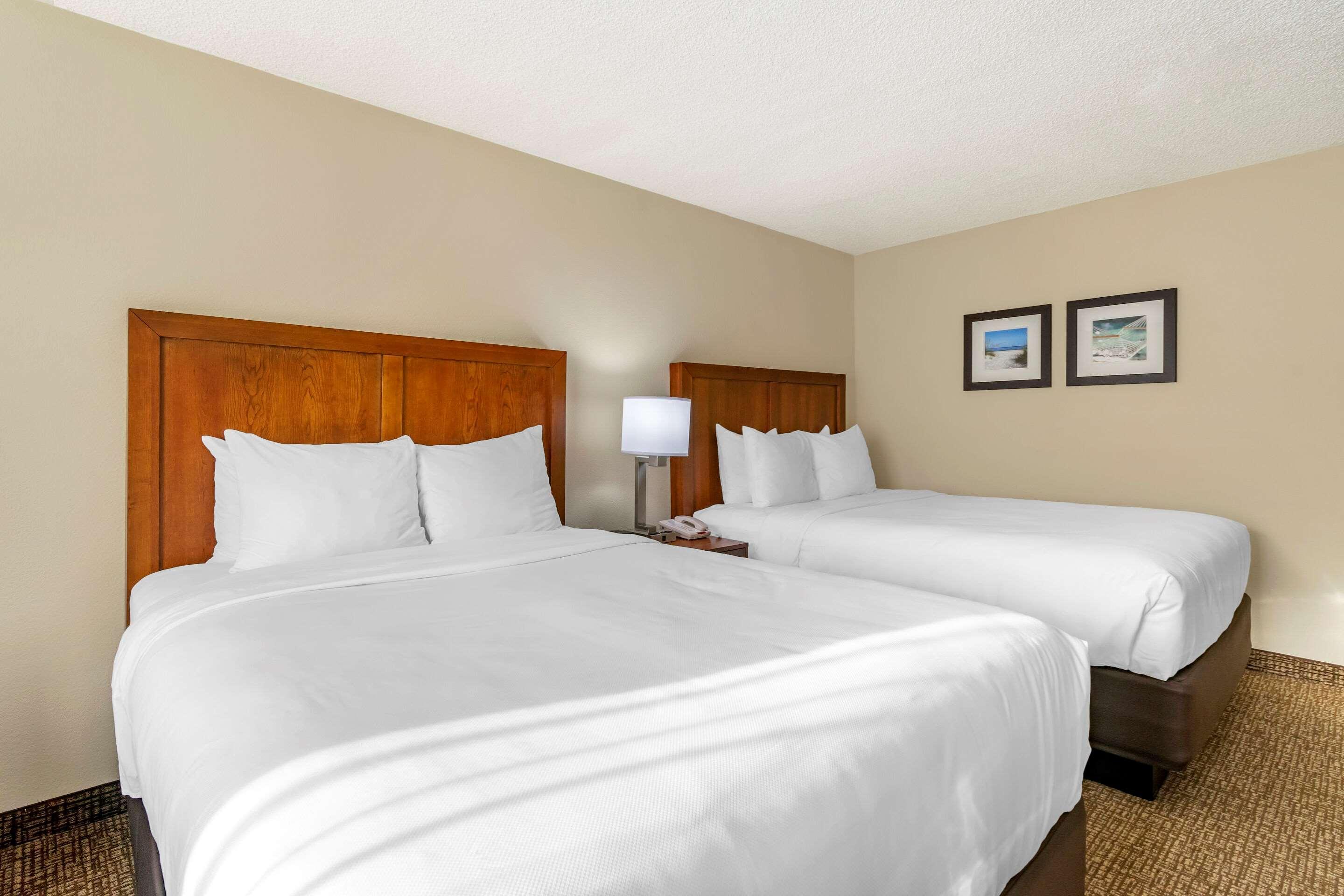 Comfort Inn & Suites St Pete - Clearwater International Airport Kültér fotó