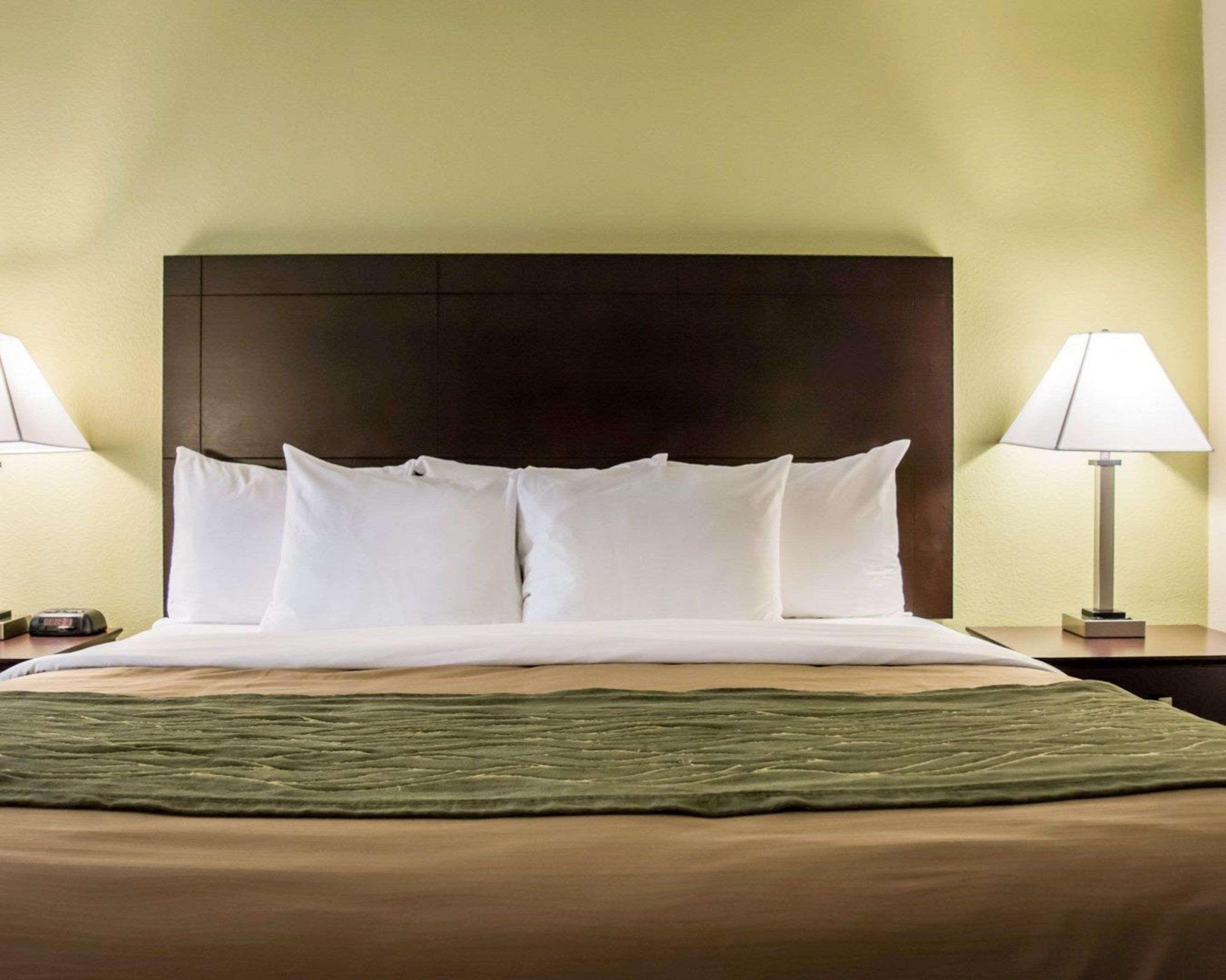 Comfort Inn & Suites St Pete - Clearwater International Airport Kültér fotó